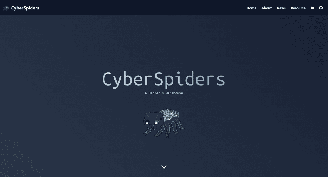 CyberSpiders